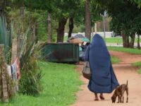 Moradores de rua poderão manter animais em abrigos de Mogi