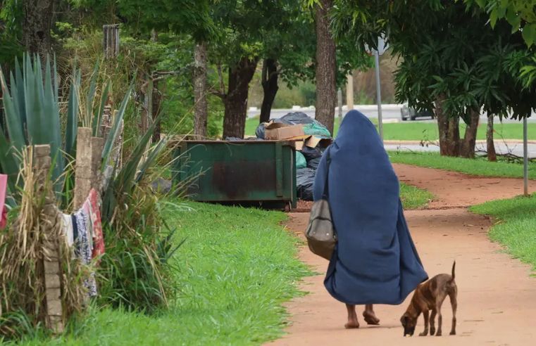 Moradores de rua poderão manter animais em abrigos de Mogi