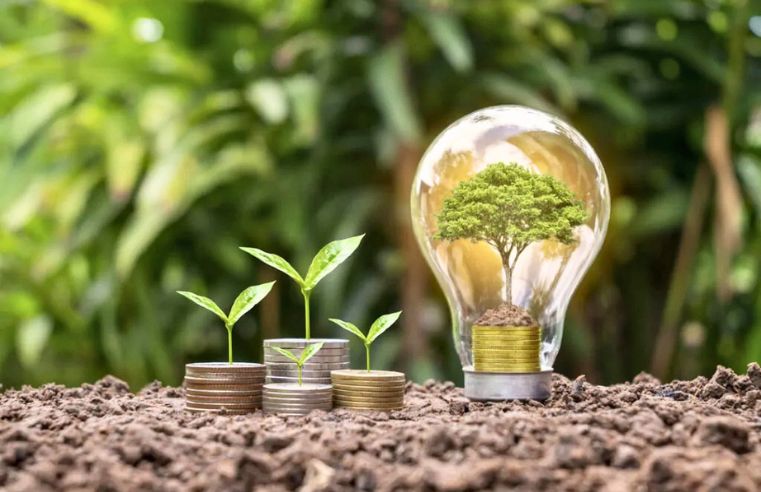 Mogi: vereadores aprovam política de economia sustentável