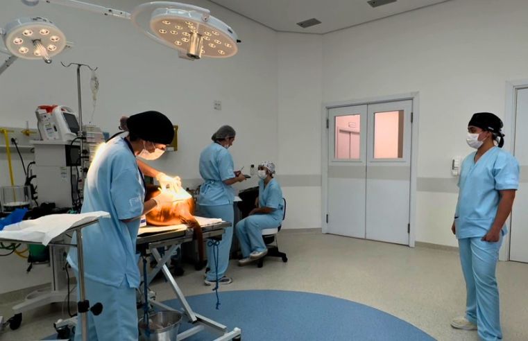 Pró-Pet de Mogi registra 750 atendimentos em 10 dias