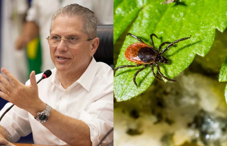 Especialista alerta sobre febre maculosa após mortes em SP