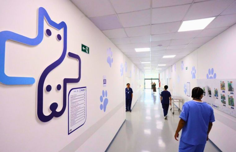 Hospital Veterinário de Mogi recebe aplausos da Câmara