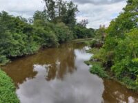 Vereadores mogianos cobram ações para recuperação do Rio Tietê