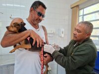 Tutores guarulhenses podem agendar a vacinação antirrábica