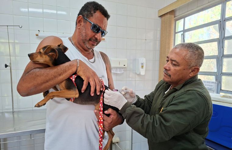 Tutores guarulhenses podem agendar a vacinação antirrábica