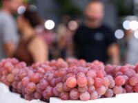Festa da Uva de Jundiaí começa em 14 de janeiro