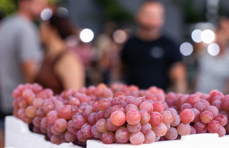 Festa da Uva de Jundiaí começa em 14 de janeiro